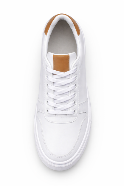 Tenis Hombre Colores Casual Elegante