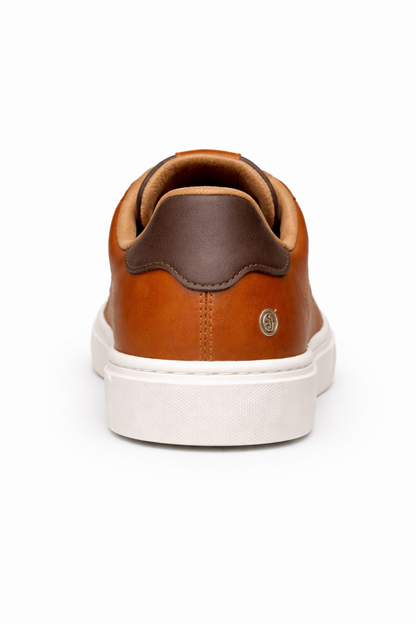 Tenis Hombre Colores Casual Elegante